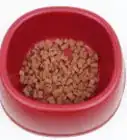 Make a Dog's Dry Food Tastier So He Will Eat It All