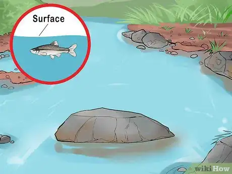 Image titled Bait and Use a Minnow Trap Step 5