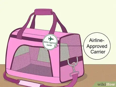 Image titled Prepare Your Dog for a Flight in Cabin Step 4