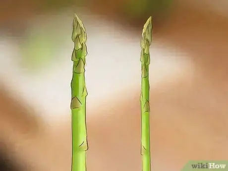 Image titled Choose Asparagus Step 7