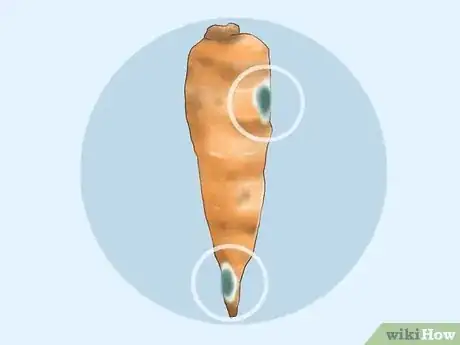 Image titled Tell if Carrots Are Bad Step 5