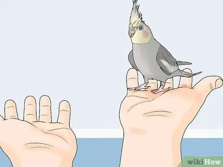 Image titled Gain Your Bird's Trust Step 6
