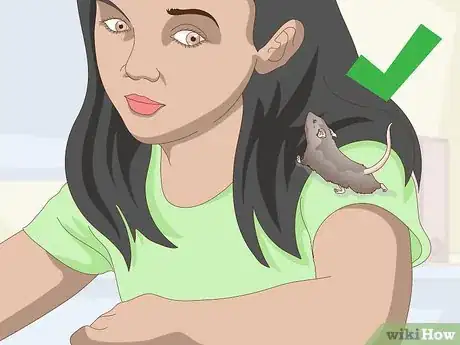 Image titled Pick Up a Pet Mouse Step 13