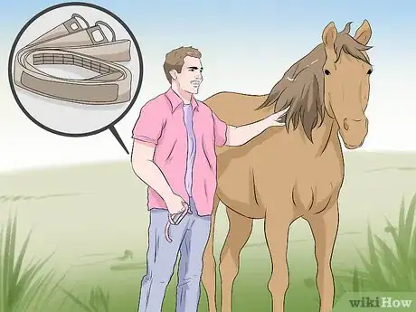 Image titled Use a Tape to Weigh a Horse Step 2