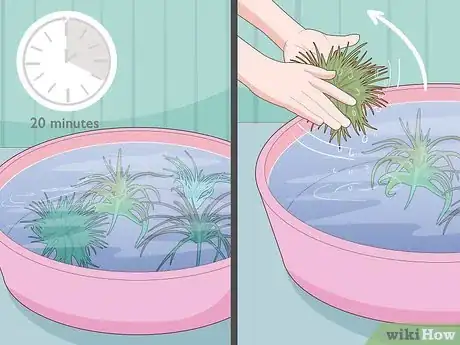 Image titled Water Air Plants Step 3