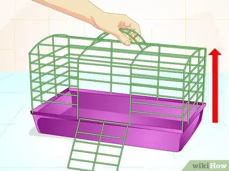 Image titled Care for Old Hamsters Step 1