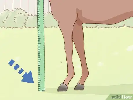 Image titled Measure the Height of Horses Step 4