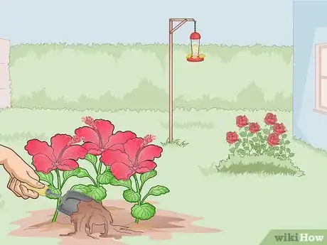 Image titled Attract Hummingbirds to a Feeder Step 11