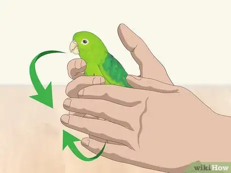 Image titled Interact with Your Parrotlet Step 1