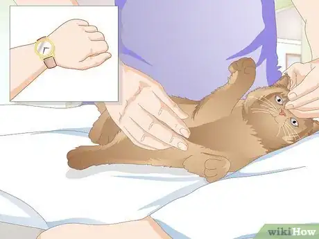 Image titled Get Your Cat to Stop Knocking Things Over Step 6