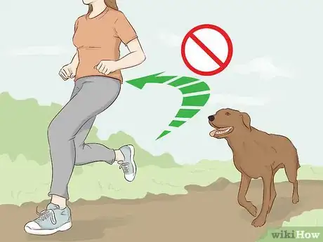 Image titled Stay Safe when a Dog Approaches You Step 6.jpeg