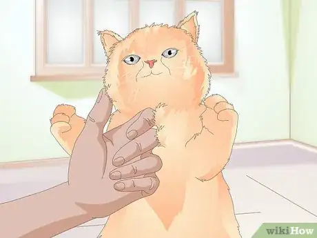 Image titled Teach Your Cat to Kiss Step 12