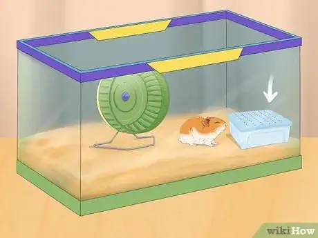 Image titled Train Your Hamster Step 12