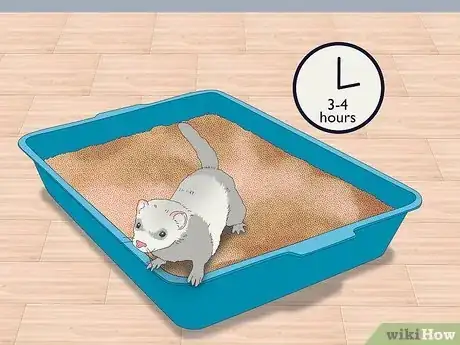 Image titled Litter Train Your Ferret Step 6