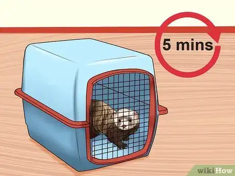 Image titled Train a Ferret Not to Bite Step 2