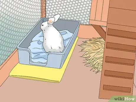 Image titled Tell if Your Rabbit Has Weepy Eye Step 14