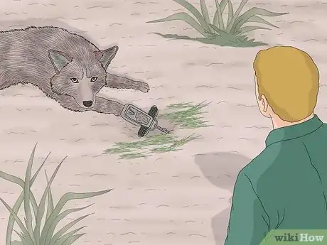 Image titled Make a Coyote Trap Step 17