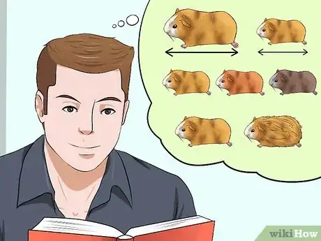 Image titled Choose a Hamster Step 2