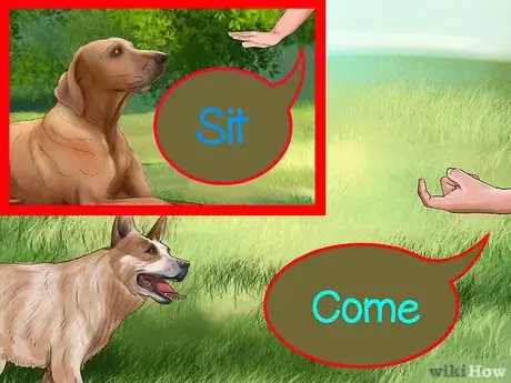 Image titled Understand Dog Pack Dynamics Step 4