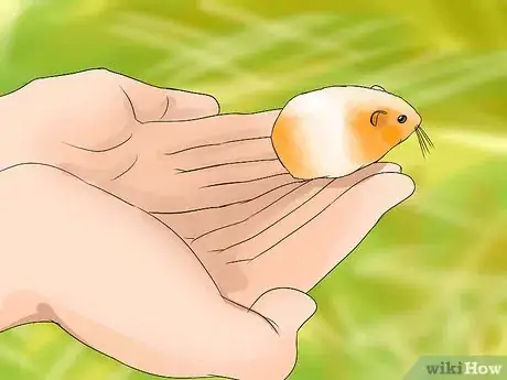Image titled Pick up Your Hamster Step 6
