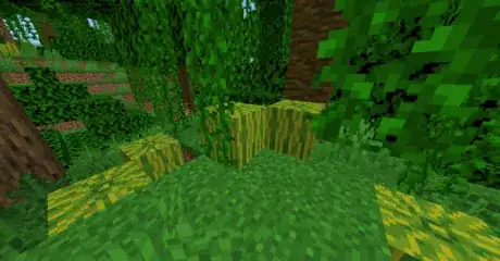 Image titled Find melon seeds in minecraft step 6.png