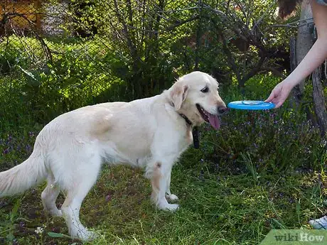 Image titled Teach a Dog How to Catch a Frisbee Step 7