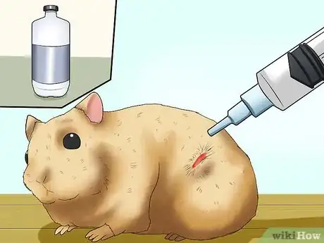 Image titled Take Care of a Found Injured Hamster Step 6