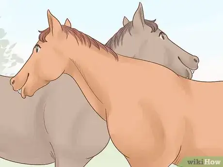 Image titled Tell if a Horse Is Happy Step 8