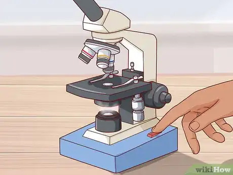 Image titled Have Better Focus on the Microscope Step 1