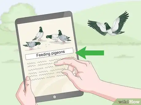 Image titled Feed Pigeons Step 12