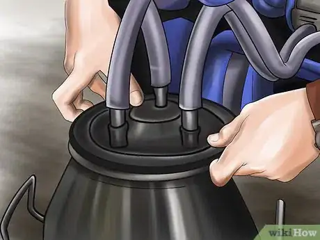 Image titled Milk a Cow With a Milking Machine Step 13