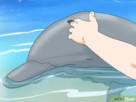 Image titled Pet a Dolphin Step 9