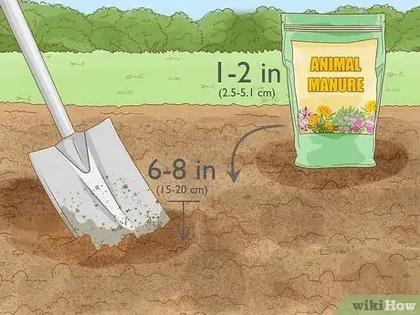 Image titled Add Phosphorus to Soil Step 2