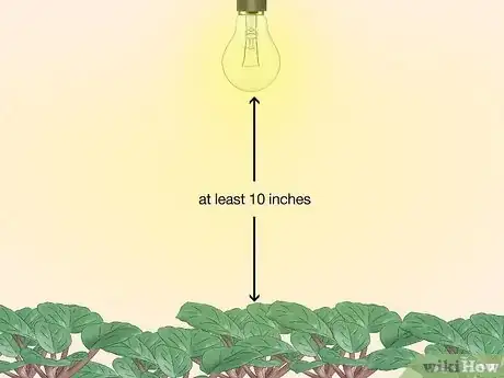 Image titled Grow Plants With Grow Lights Step 4