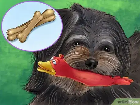 Image titled Give Your Dog Healthy Attention Step 9