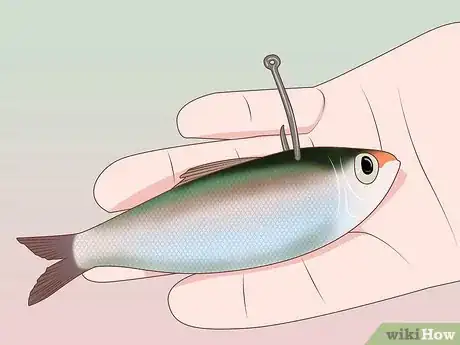 Image titled Create a Setup for Inshore Fishing Step 14