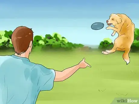 Image titled Make a Golden Retriever Stop Barking Step 8