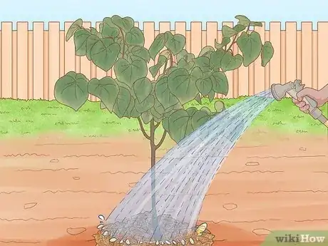 Image titled Plant Redbud Trees Step 9