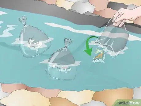 Image titled Build a Koi Fish Pond Step 16