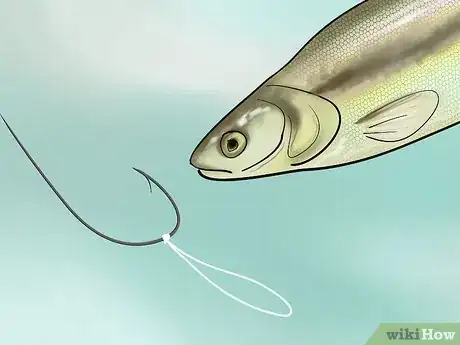 Image titled Bait a Fishing Hook Step 20