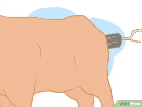 Image titled Collect Semen from a Bull for a Breeding Soundness Exam Step 8
