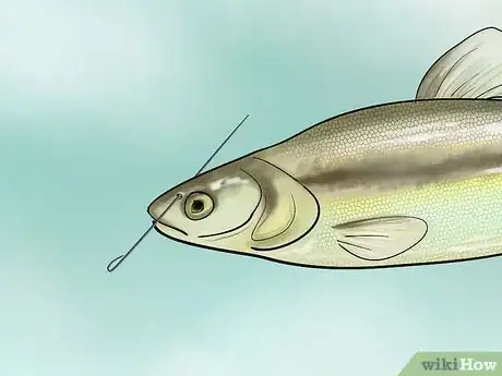 Image titled Bait a Fishing Hook Step 22
