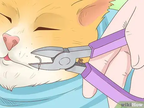 Image titled Remove a Hook from a Cat's Mouth Step 5