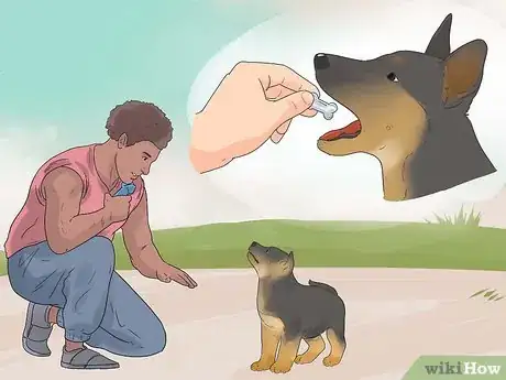 Image titled Train a German Shepherd to Be a Guard Dog Step 6