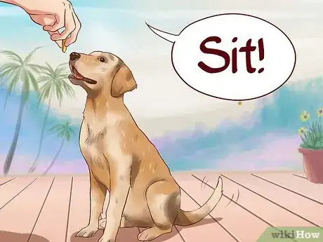 Image titled Teach Your Dog Basic Commands Step 1