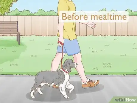 Image titled Get a Dog to Eat Step 4