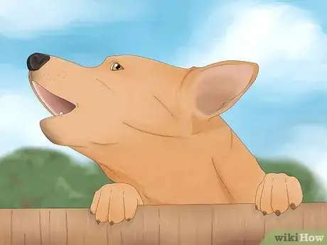 Image titled Why Do Dogs Howl at Sirens Step 3
