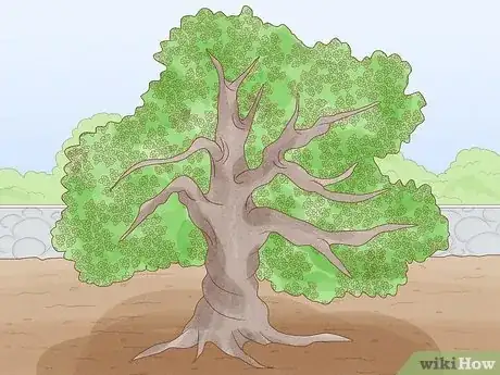 Image titled Know How Long It Takes for a Tree to Grow Step 9