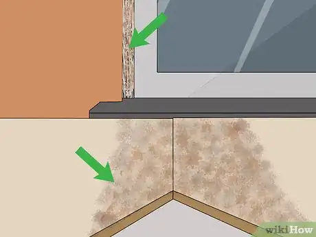 Image titled Troubleshoot Mold on Interior Walls Step 1