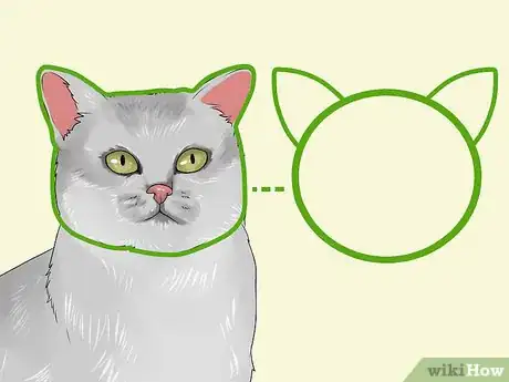 Image titled Identify a Burmilla Cat Step 2